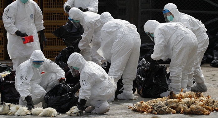 New human death from H7N9 bird flu registered in Central China 